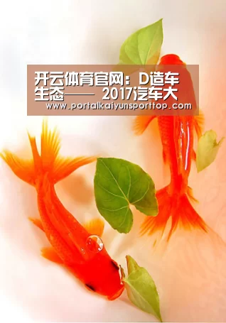 开云体育官网:D造车生态—— 2017汽车大数据营销峰会在京隆重召开,赋能数据商业生态(图4) 开云体育官网