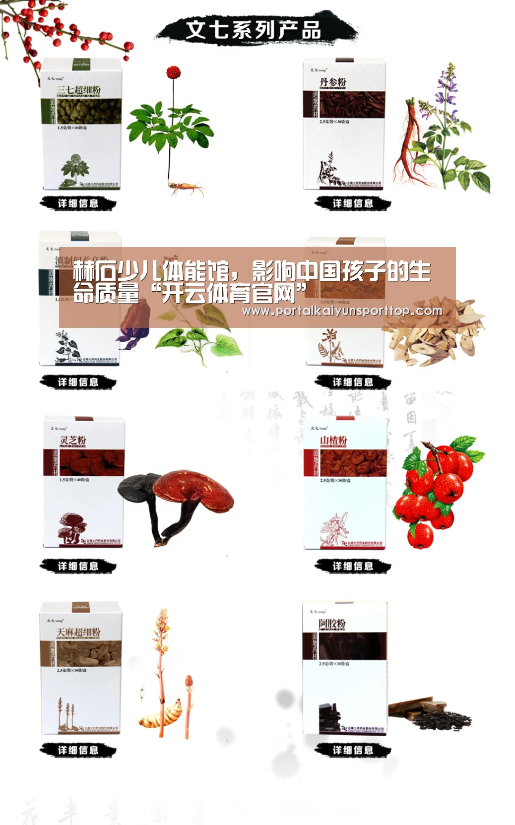 赫石少儿体能馆,影响中国孩子的生命质量“开云体育官网”(图4) 开云体育官方入口