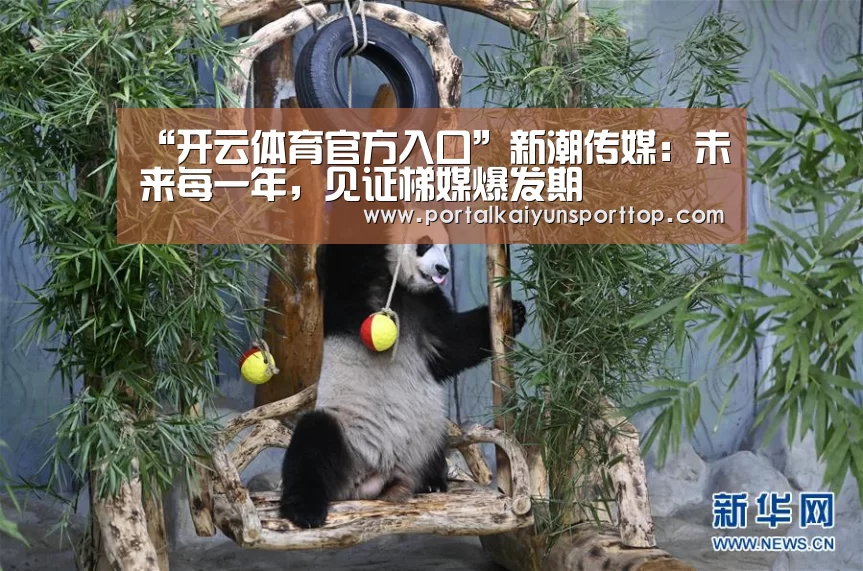 “开云体育官方入口”新潮传媒:未来每一年,见证梯媒爆发期(图2) 开云体育官方入口